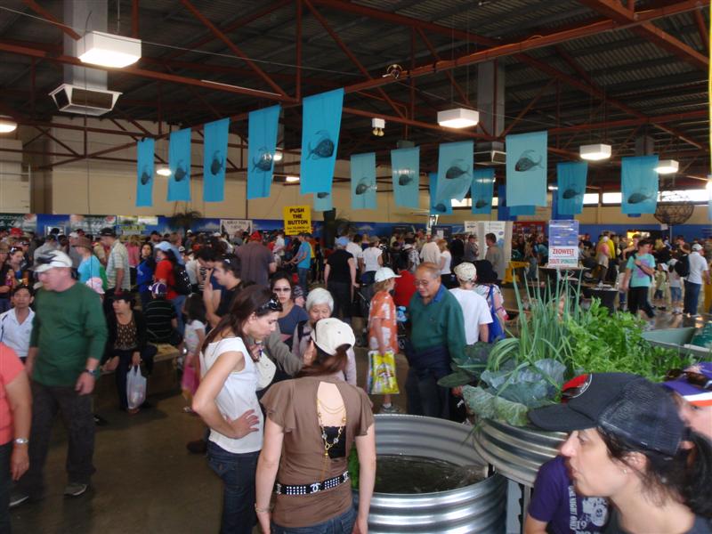 P9270183 (Medium).JPG