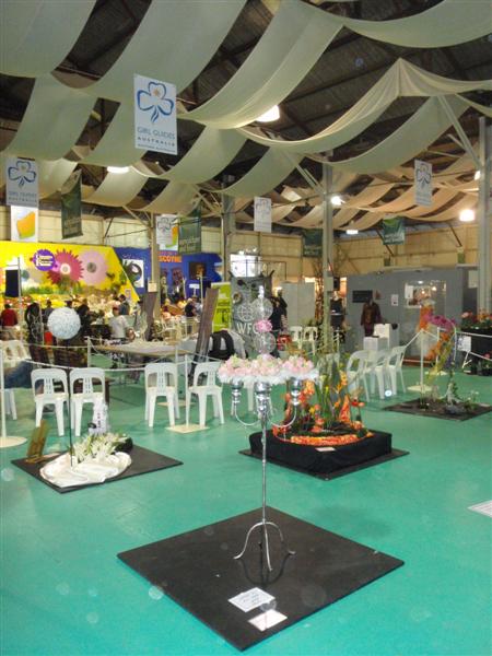 P9270215 (Medium).JPG