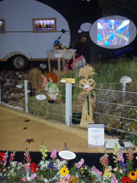 P9270217 (Medium).JPG