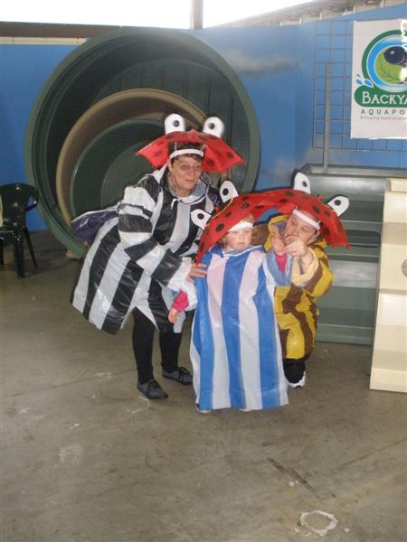 P9290079 (Medium).JPG