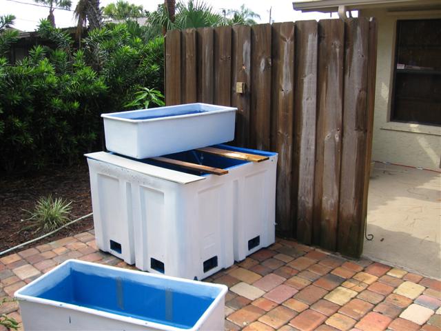 IMG_8530 (Small).JPG