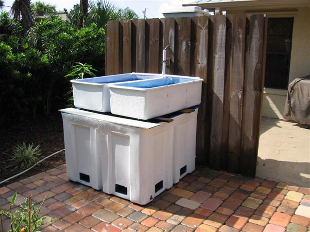 IMG_8533 (Small).JPG