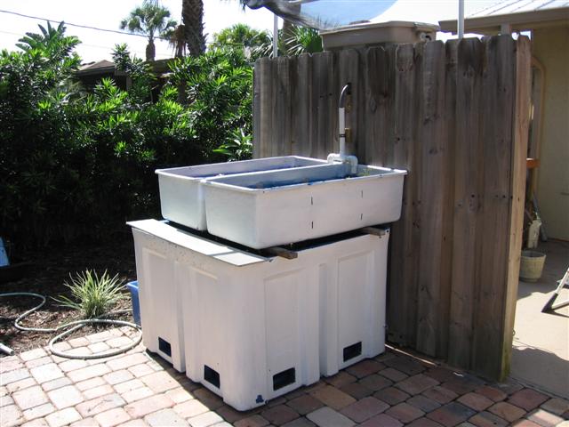 IMG_8555 (Small).JPG