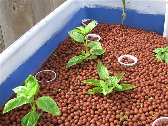 IMG_8579 (Small).JPG