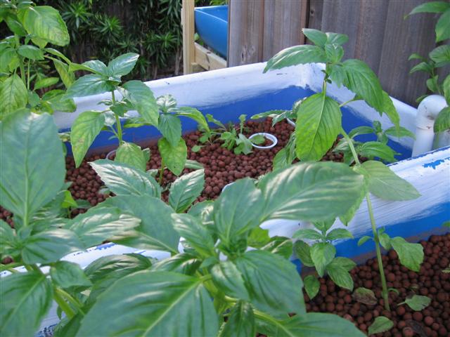 IMG_8745 (Small).JPG