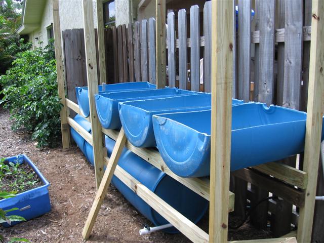 IMG_8703 (Small).JPG