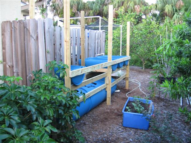 IMG_8740 (Small).JPG