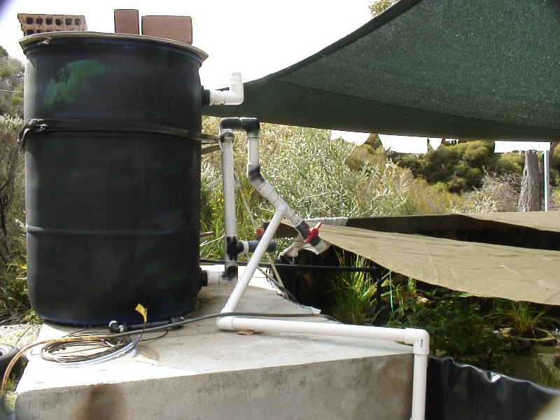 Biofilter full of clay balls.JPG