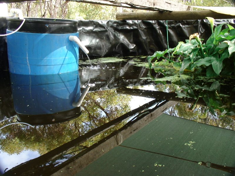 Blue drum siphoning.JPG