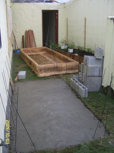 Day 1 Aquaponics.jpg