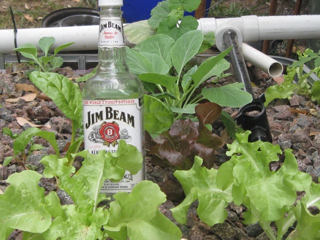 pesky empties are still breeding.jpg