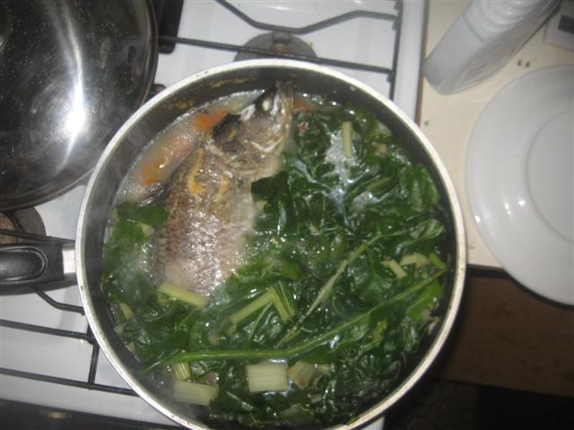 dead barra (Small).jpg