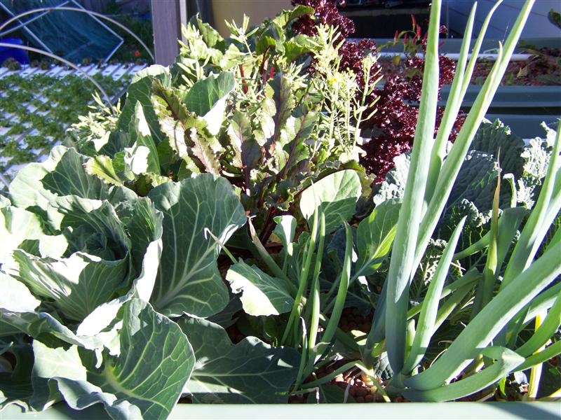 100_3311 (Medium).JPG