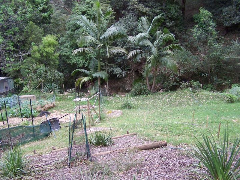 100_3601 (Medium).JPG