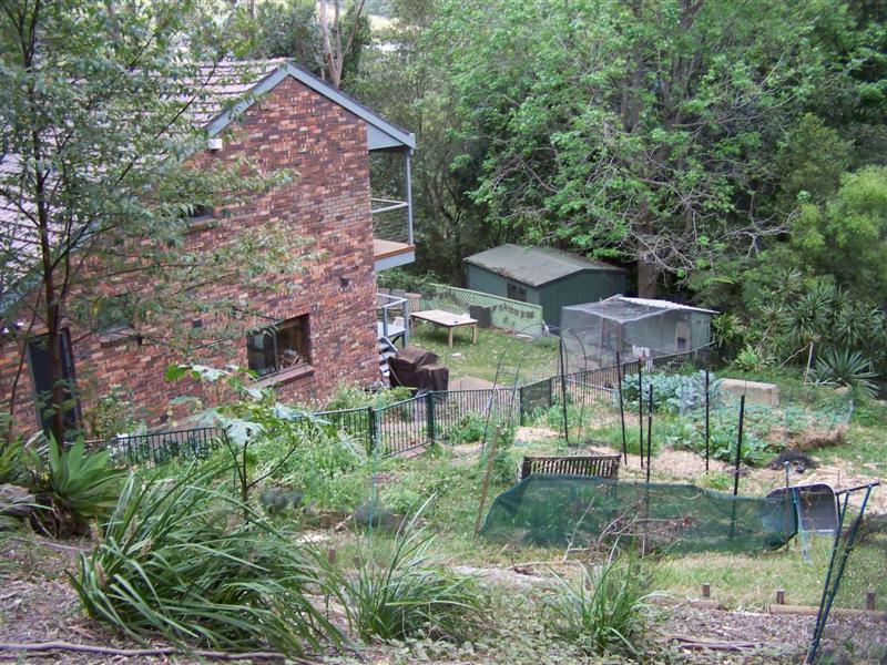 100_3602 (Medium).JPG