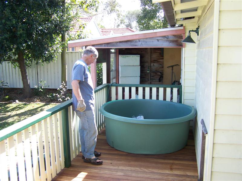 100_3482 (Medium).JPG