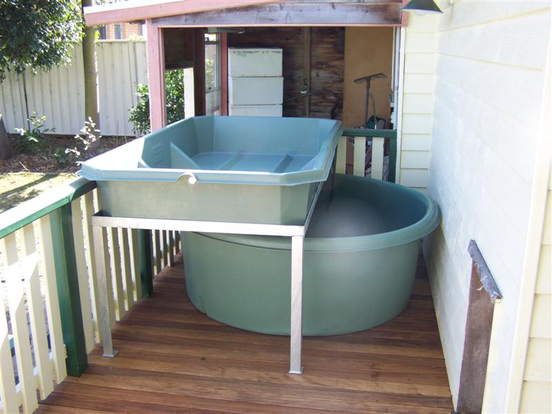 100_3483 (Medium).JPG