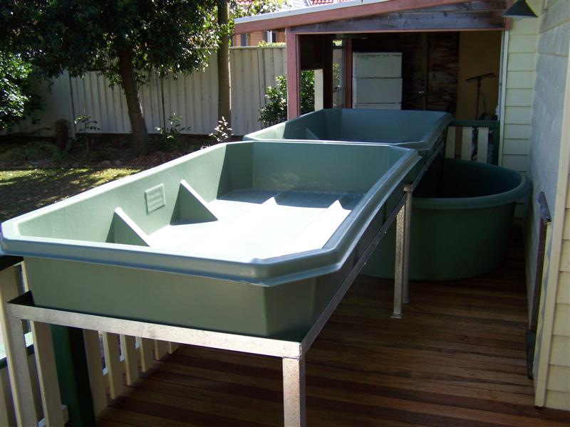 100_3484 (Medium).JPG