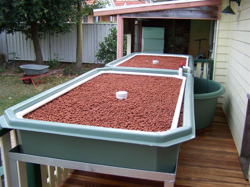 100_3490 (Medium).JPG