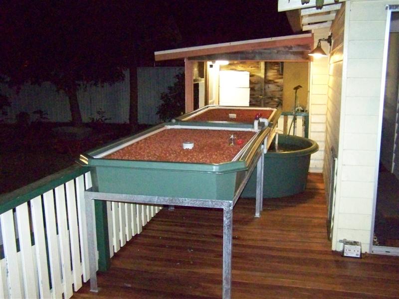 100_3492 (Medium).JPG