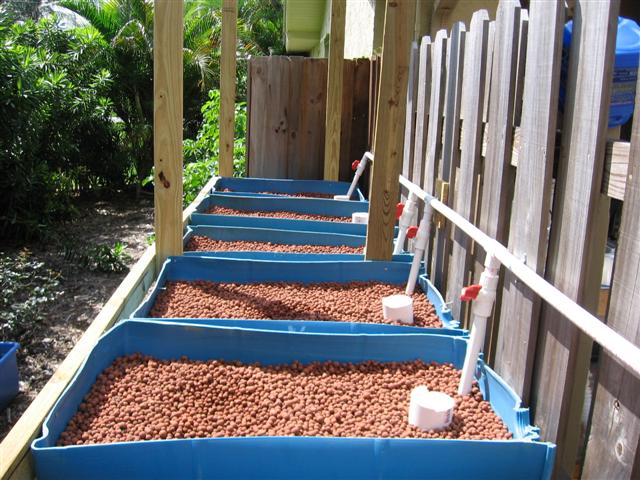 IMG_8794 (Small).JPG