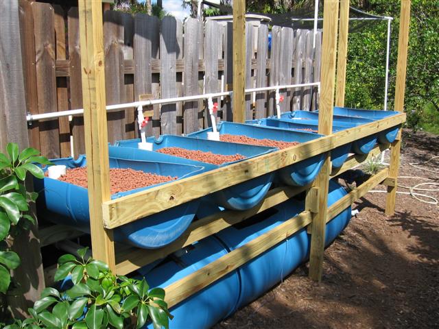 IMG_8795 (Small).JPG