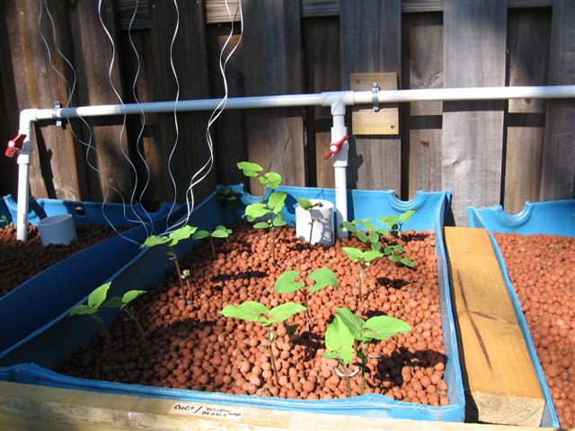 IMG_8832 (Small).JPG