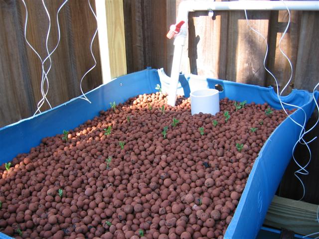 IMG_8833 (Small).JPG