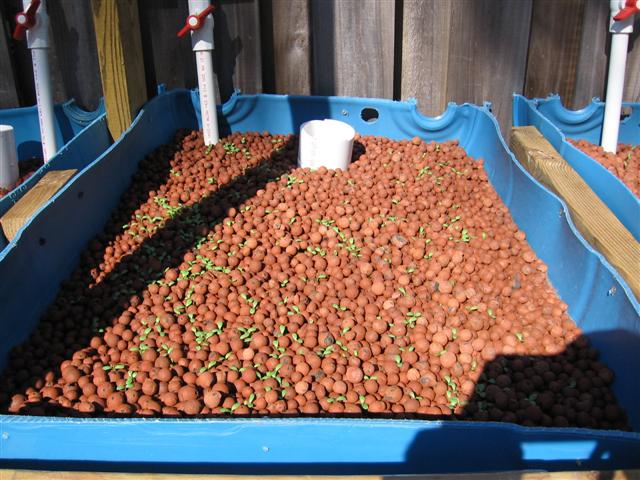 IMG_8834 (Small).JPG