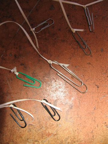 IMG_8829 (Small).JPG