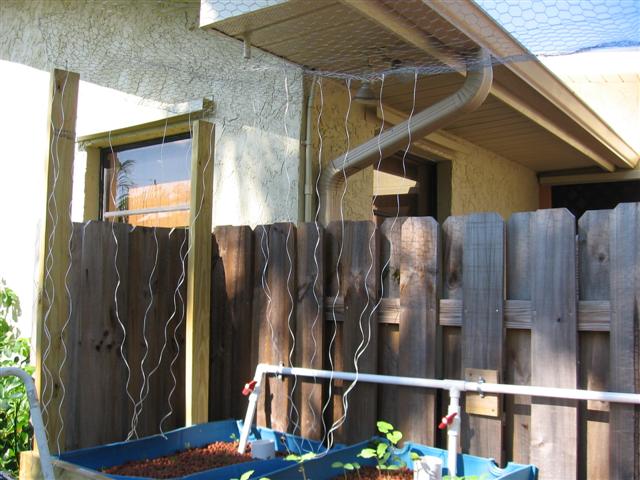 IMG_8837 (Small) (2).JPG