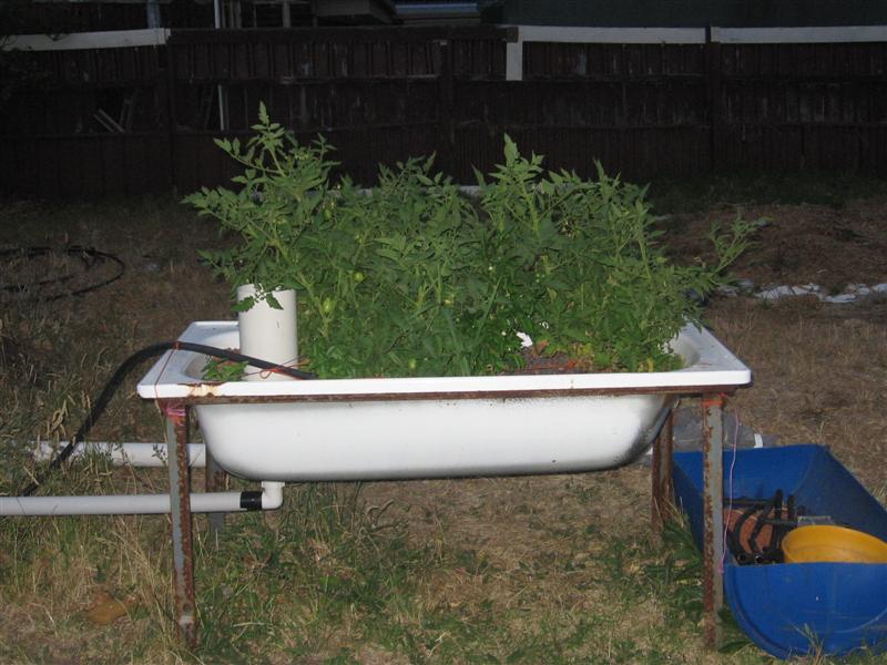 growth 001 (Medium).jpg