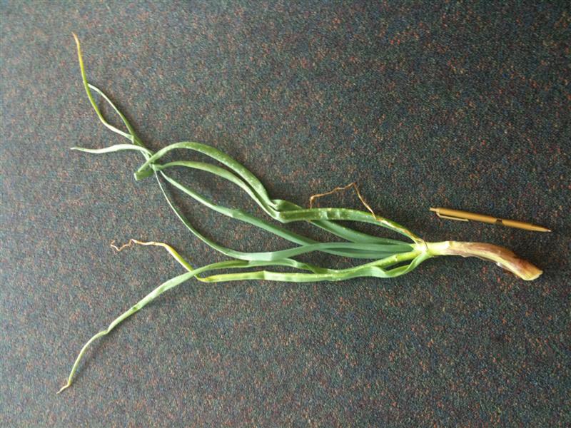 iPhone Photos 105 (Medium).jpg