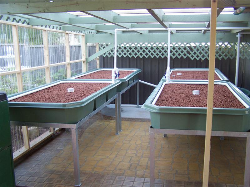 100_3627 (Medium).JPG