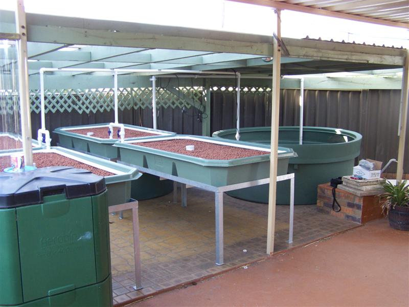 100_3628 (Medium).JPG