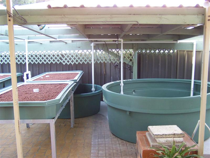 100_3630 (Medium).JPG