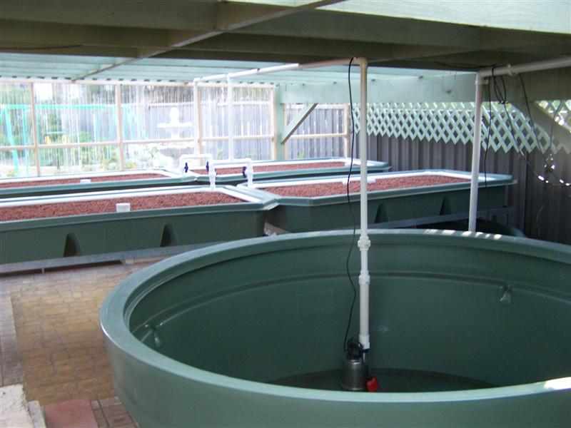 100_3632 (Medium).JPG