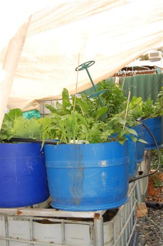 October 09 009 (Small).jpg