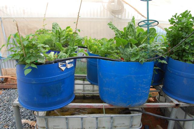 October 09 010 (Small).jpg