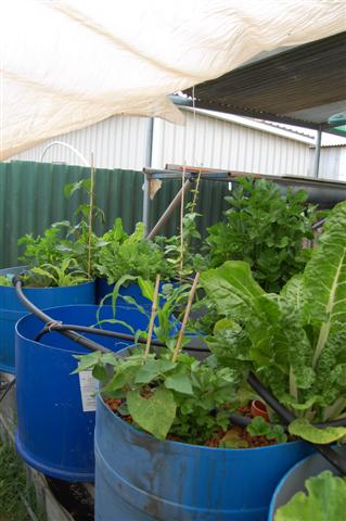 October 09 011 (Small).jpg