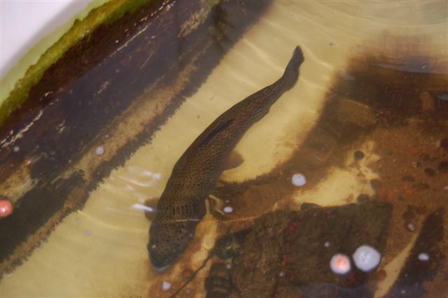 October 09 014 (Small).jpg