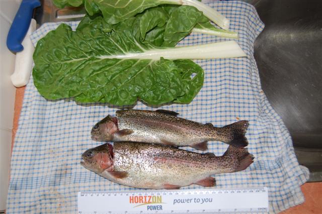 October 09 019 (Small).jpg