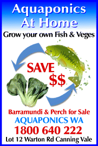 Aquaponics At home AD.gif