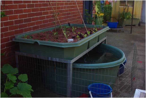 2009_10_18 aquaculture system2.jpg