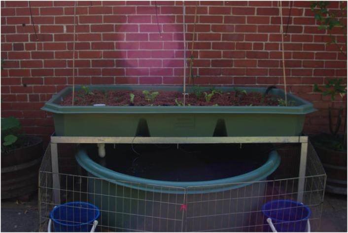 2009_10_18 aquaculture system.jpg