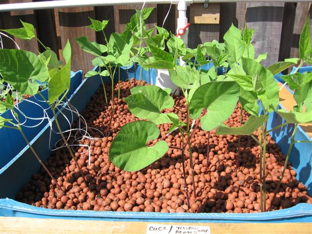 IMG_8844 (Small).JPG