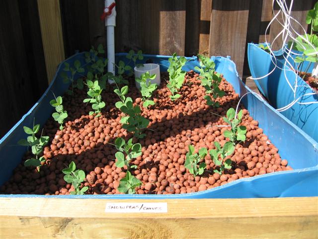 IMG_8845 (Small).JPG