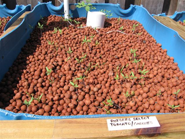 IMG_8841 (Small).JPG