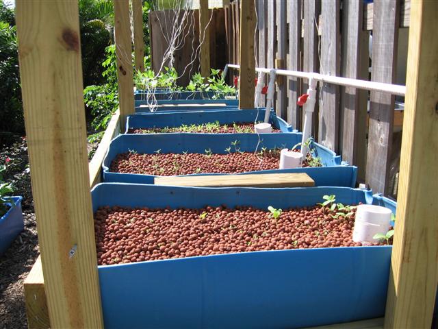 IMG_8839 (Small).JPG