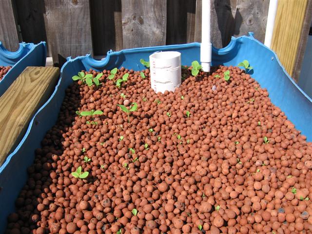 IMG_8840 (Small).JPG